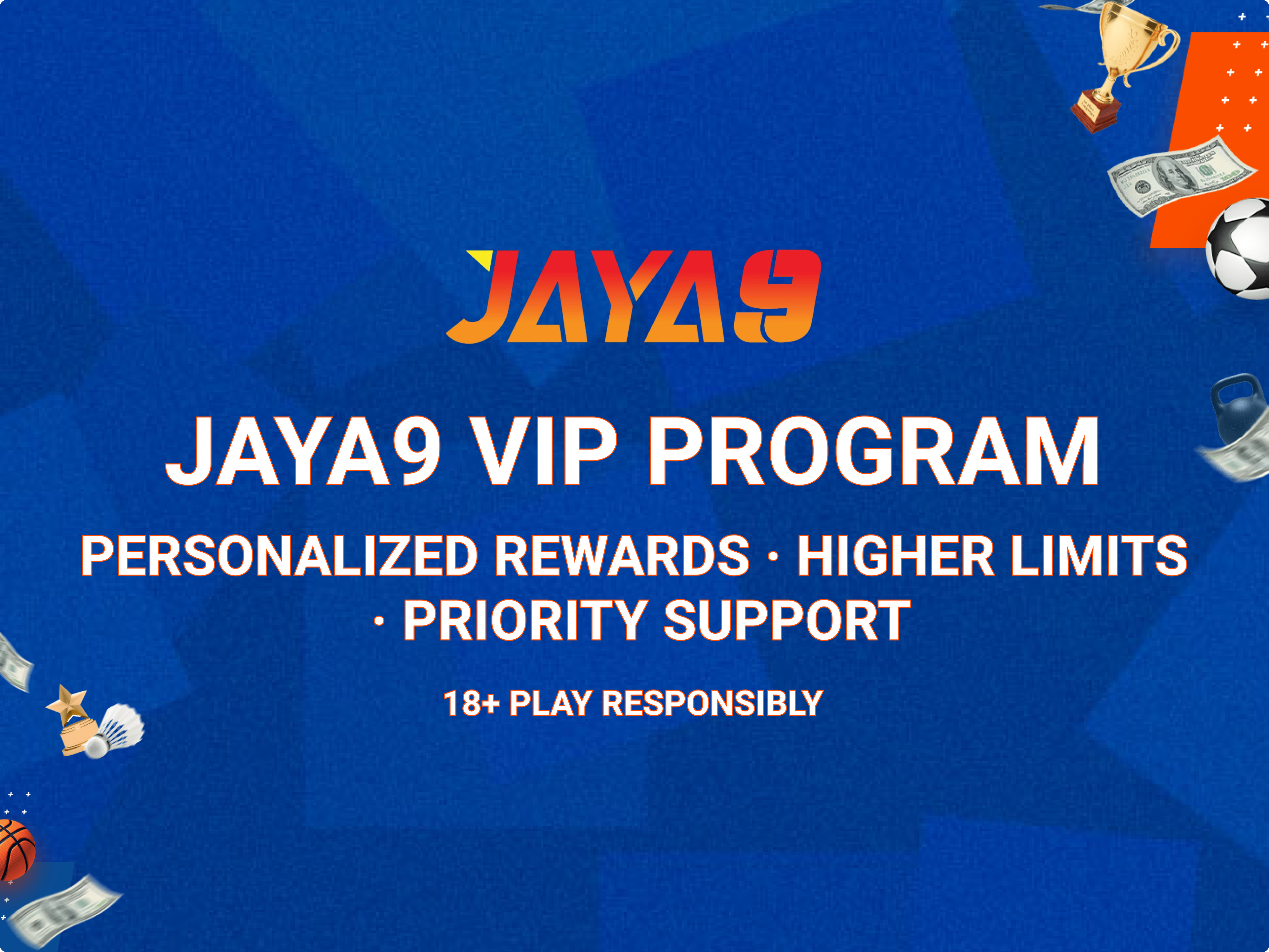 Vip Program
